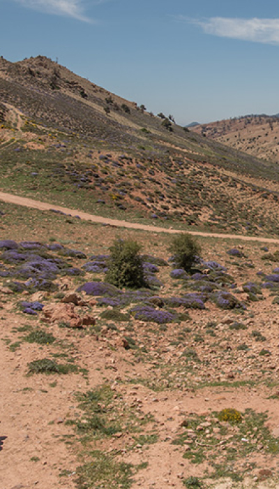 Consigli dalla strada: Marocco