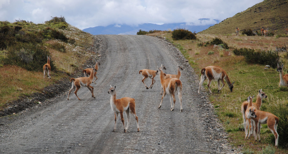 giviexplorer_Patagonia_ToEnd_cover